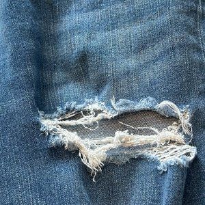 AE Next Level Curvy High-Waisted Ripped Jegging 6S